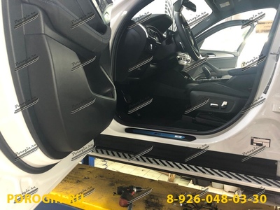 Пороги - подножки BMW, БМВ X4 G02 2018-2020